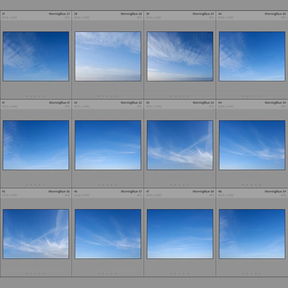 Thumbnail 8